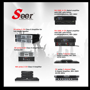 Seer Audio Professional Amplifier