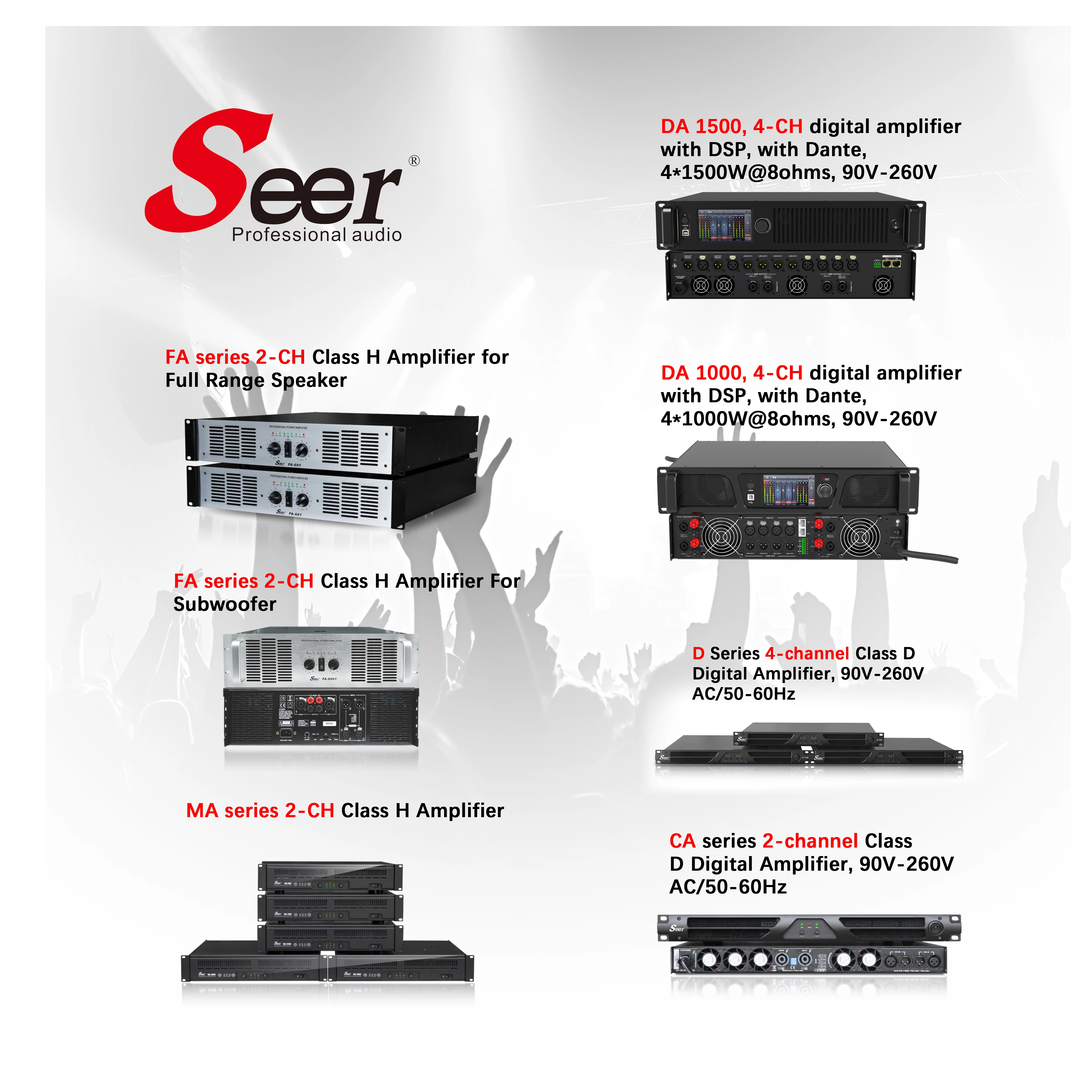 Seer Audio Professional Amplifier