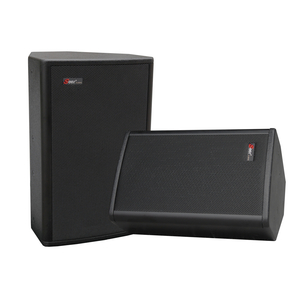 AR-10 Professional Audio Speaker Good Quality 