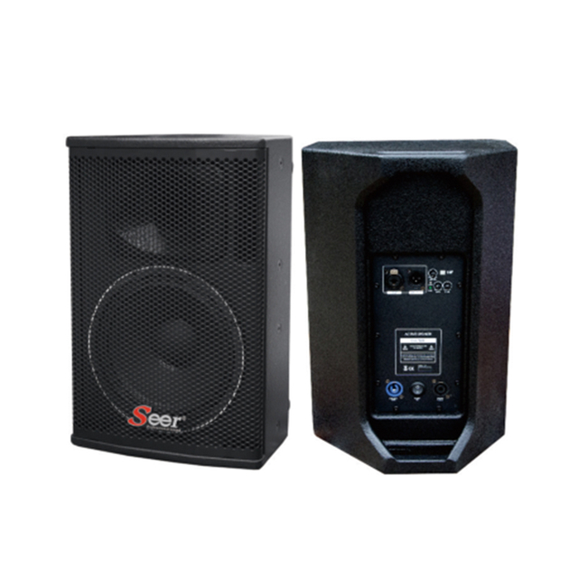 S-10II Professional Audio Full Range Speaker 
