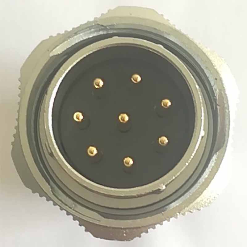Speaker Cable 