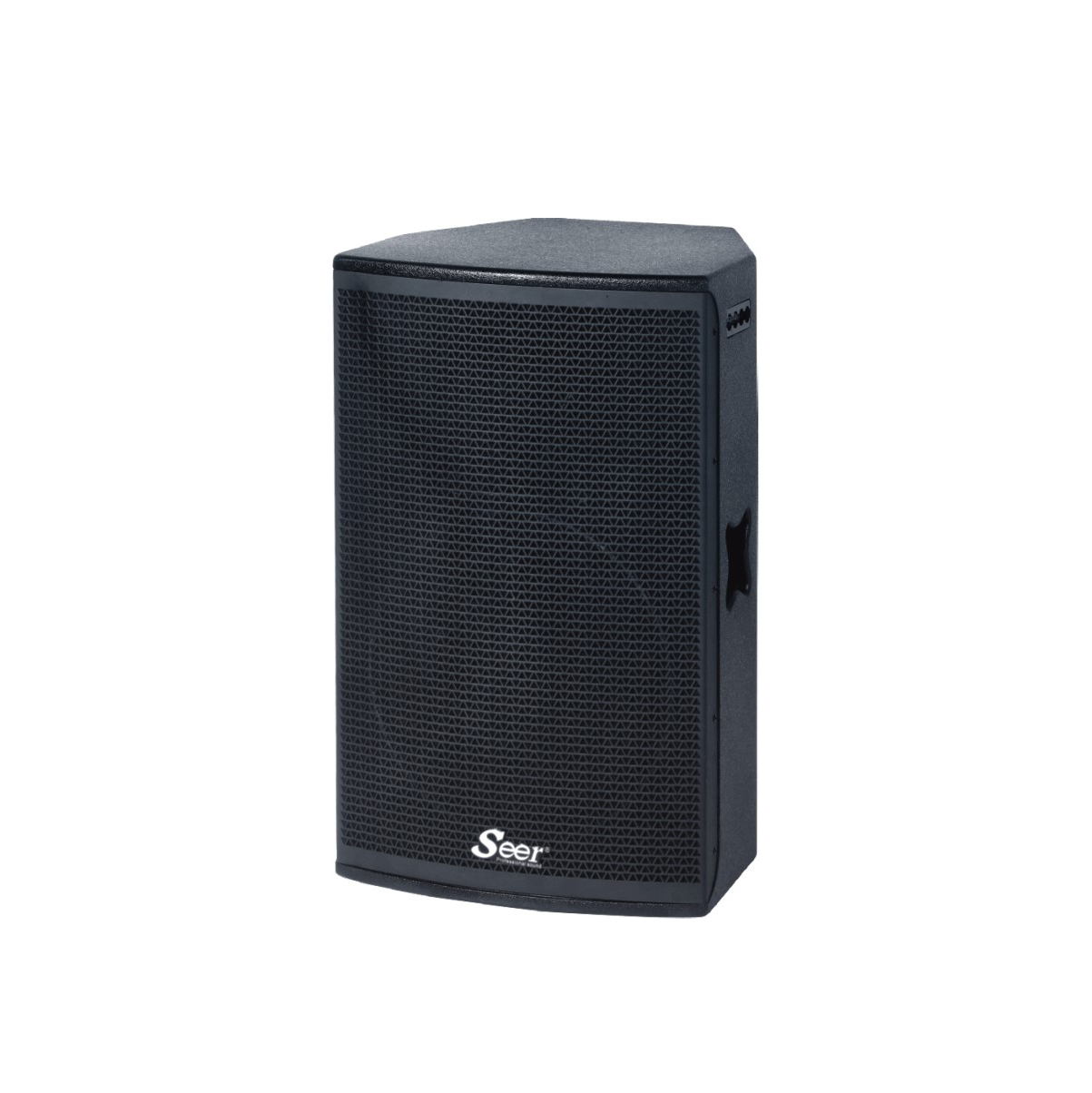 CT-110A Active full range seaker