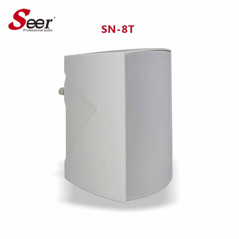 Seer Audio Waterproof Speaker Outdoor