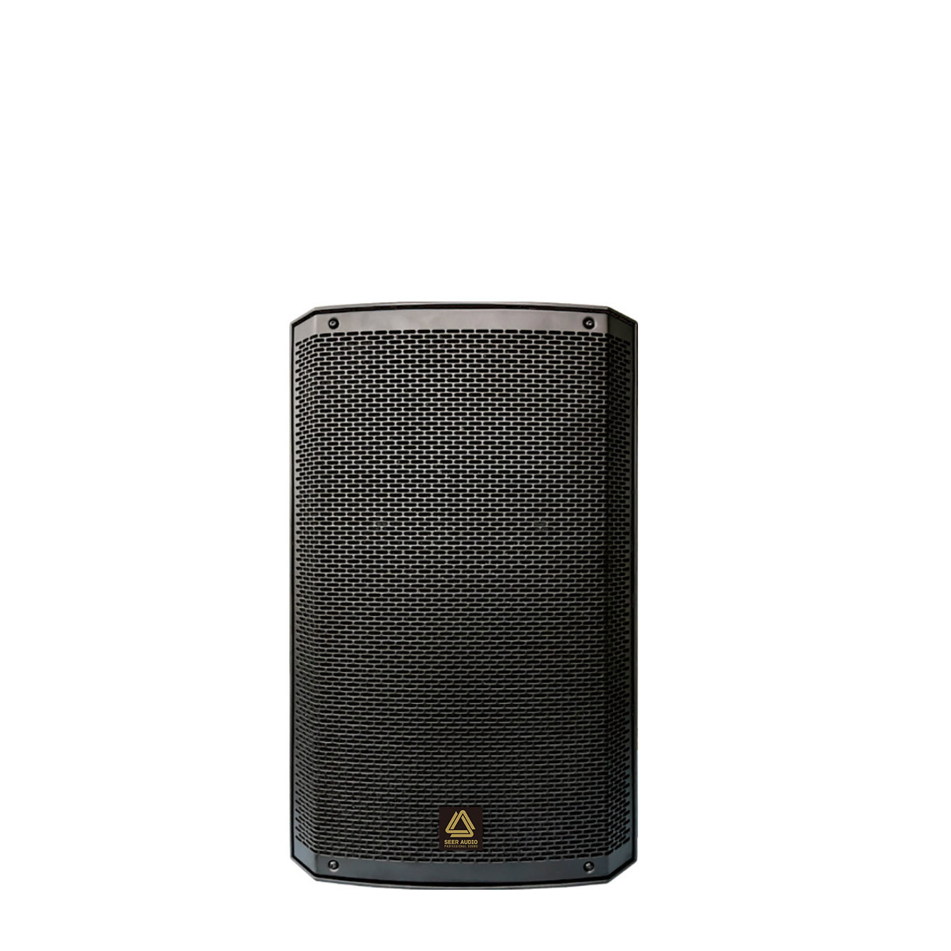PA-10 Active Speake Digital Amplifier
