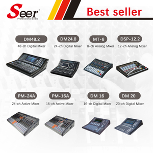 Seer Audio Professional Mixer Digital Audio with DSP 