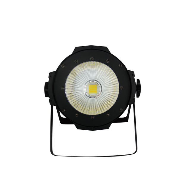 Dual Color Temperature COB Surface Light 